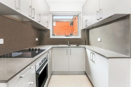 4/33 Maida Street, Lilyfield NSW 2040 - Apartment For Rent | Domain - Photo 2