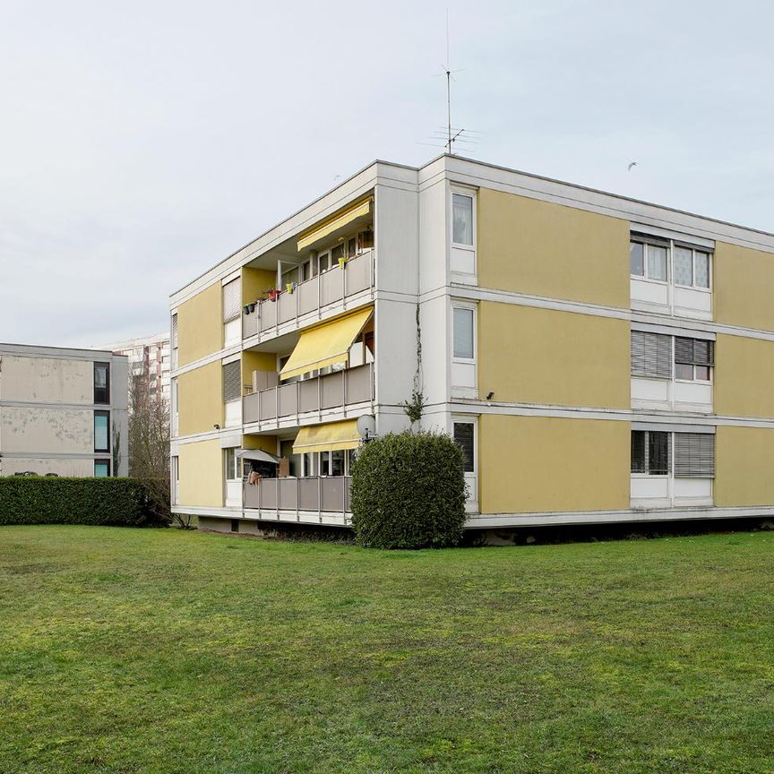 5 Zimmer, 72 m², EG - Foto 1