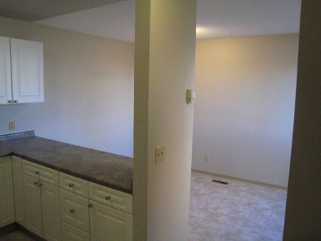 Riverdale Place Townhouse Rentals - Photo 4