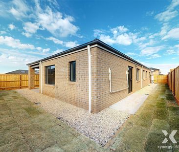 Modern Family Living in a Sought-After Fraser Rise Pocket - Photo 6