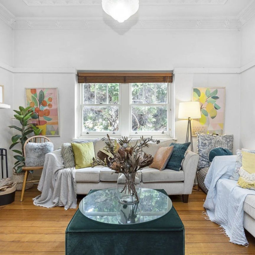 Sun Filled Deco On The Hill – Access from Gurner Street - Photo 1