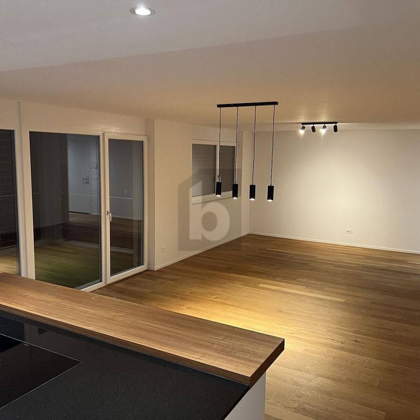 GREEN OASIS WITH LOTS OF EQUIPMENT - Photo 1