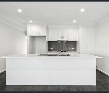 Modern Family Living in Bolwarra - Photo 4