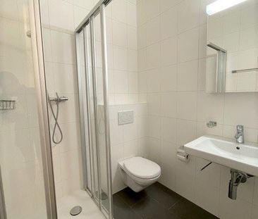 Eaux-Vives : joli appartement proche du lac - Photo 1