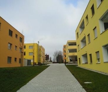 Looking for your first apartment? You’re in the right place - Photo 1