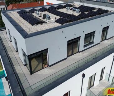 Znojmo, pronájem bytu OV 2+kk, 62 m - Photo 4