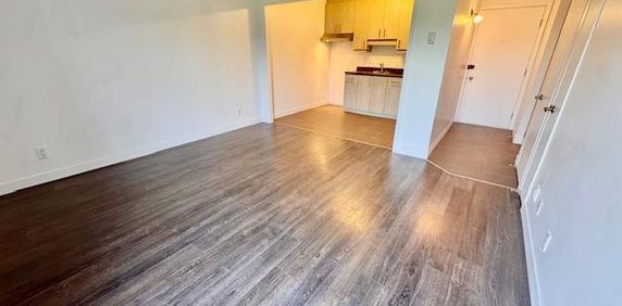 RÉNOVÉ AU COMPLET! 3 1/2 INSONORISATION SUPÉRIEURE - Photo 2