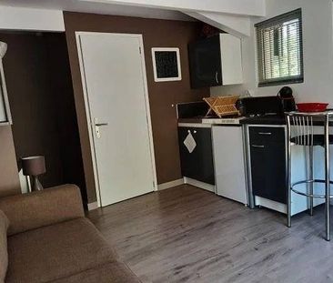 Studio meublé de 25m² avec accès piscine et pool house - Photo 1