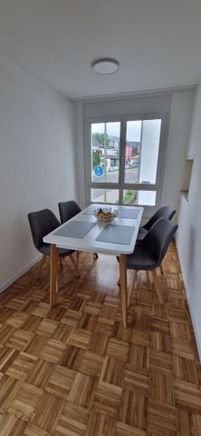 APPARTEMENT DE 2 PIÈCES À LANGWIESEN (ZH), MEUBLÉ, TEMPORAIRE - Foto 4
