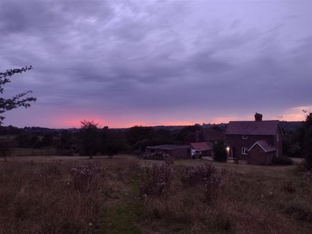3 bedroom cottage to rent - Photo 4