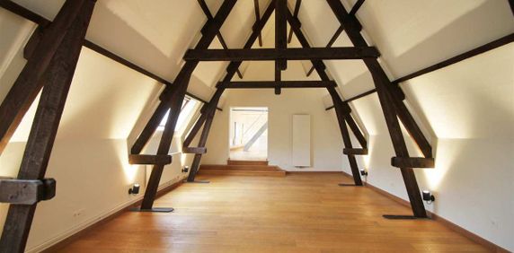 In optie - Loft te huur in Sint-Niklaas met 1 slaapkamer - foto 2