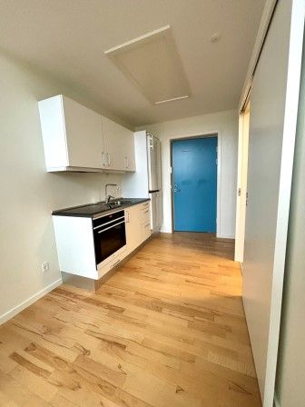 1-værelses studiebolig - Photo 4