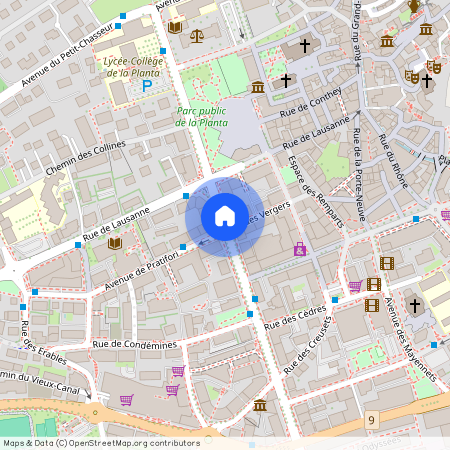 1950, Sion, Avenue de la Gare