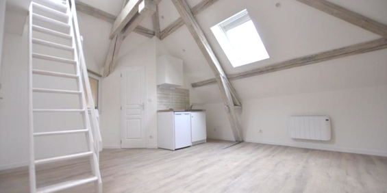 Location Appartement 1 pièce 16m² DIJON 21000 - Photo 3