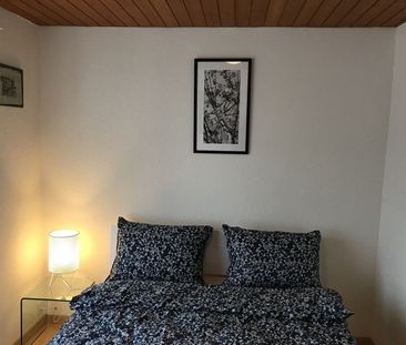 Modern furnished 2.5-room apartment in Langnau am Albis ideal for p... - Photo 6