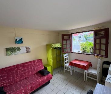 Le Lamentin - Appartement - F1 - Photo 1