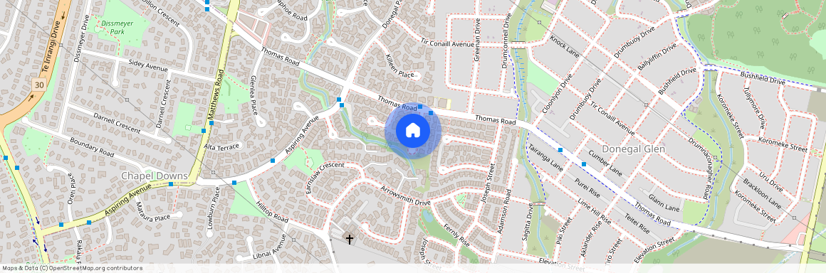 15 Genesis Place, Flat Bush, Manukau City