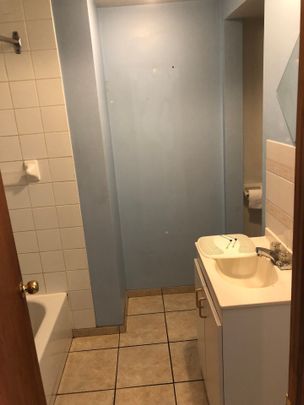 Condo for rent, Montréal (Le Plateau-Mont-Royal) - Photo 1
