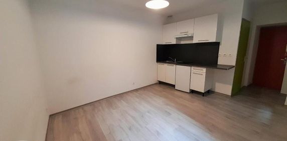 Location Appartement 1 pièce 17m² CLERMONT FERRAND 63000 - Photo 2