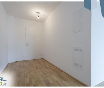 Provisionsfrei für den MIETER! LENAUTERRASSEN - NEUBAU - Foto 4