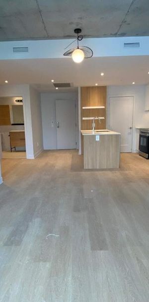 1 CH - 1 SDB - Montreal - $1,720 /mo - Photo 1