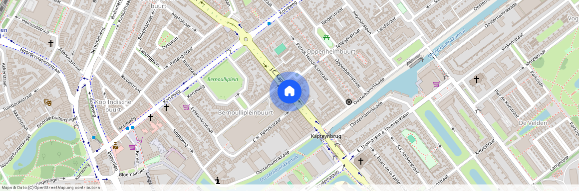 Professorenbuurt, 9714 CR, J.C. Kapteynlaan, Groningen