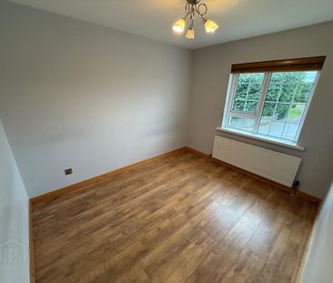 41 Lurganare Cross, Lurganare, BT34 1SR - Photo 5
