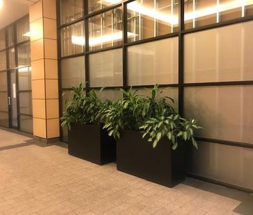 For Lease - 2900 Highway 7 N/A Unit# 510, Vaughan, Ontario - Photo 4