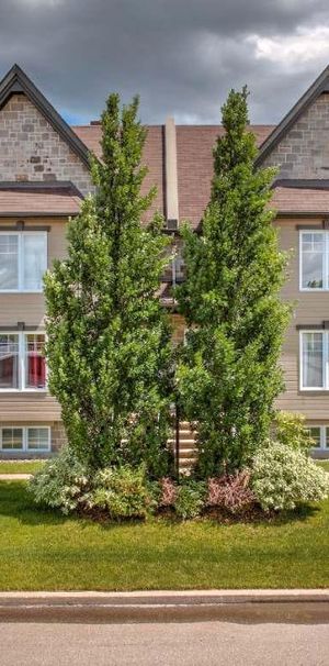 Beau logement - appartement 4 1/2 à Lavaltrie - Photo 1