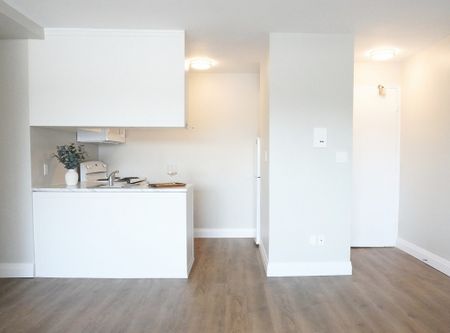 Park Towers Apartments - PARKING SPACE, HEAT & WATER INCLUDED - Photo 5