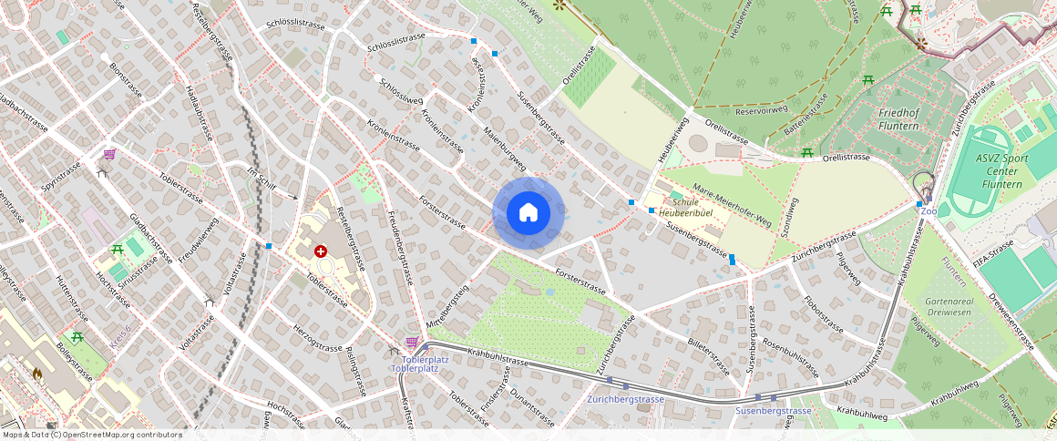 Fritz Fleiner - Weg 11, 8044 Zürich