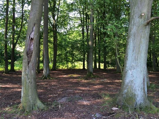 Höstgatan 25 - Foto 1