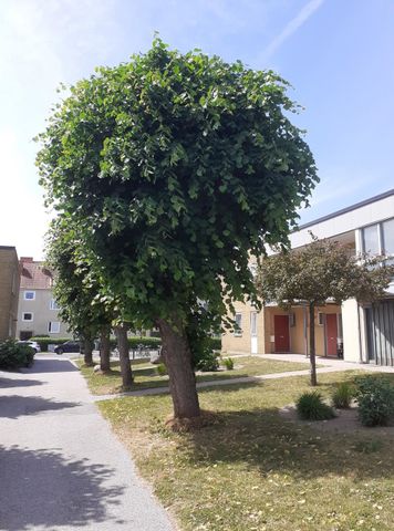 Trädgårdsgatan 4 G, Furulund - Photo 5