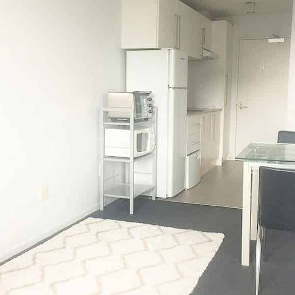 Centrally located Furnished 1 bedroom apartment - Photo 1