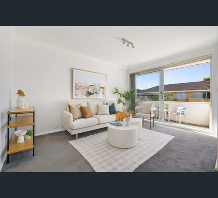 7 Ada Street Street, Randwick, NSW 2031 - Photo 4