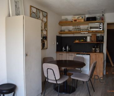 Location Appartement 1 pièce 21m² BOLQUERE 66210 - Photo 4