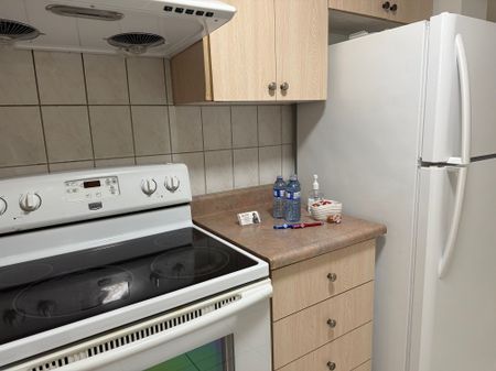 For Lease - 3549 Old Orchard Park Drive Unit# Basement, Mississauga, Ontario - Photo 3