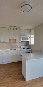 Pet Friendly 1 Bedroom With Laundry In Mount Pleasant - Photo 4