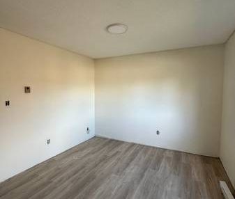 Newly Renovated One Bedroom on the Top Floor! - Photo 2