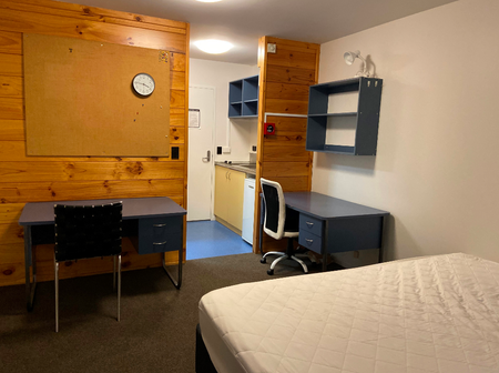 Fully furnished studio unit with one bathroom on the ground floor - Photo 3