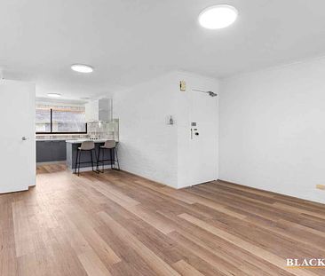 Newly Renovated Two Bedroom Unit in Chifley - Photo 3