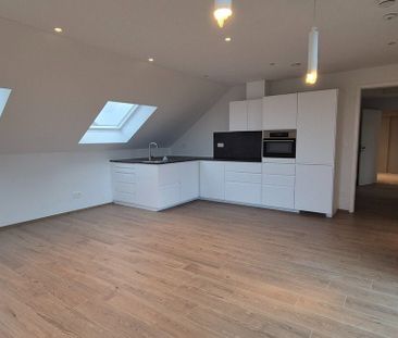 Eengezinswoning te huur in Holsbeek voor € 1.975 met 4 slaapkamers - Photo 2