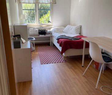 Rum (1/2) uthyres i centralt gathus - Photo 4