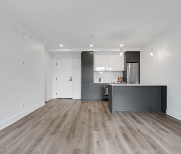 Condo for rent, Montréal (Ville-Marie) - Photo 3