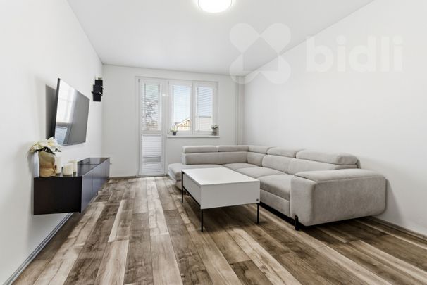 Pronájem, byt 2+1 s lodžií, Sídliště U Nového nádraží, Bílina - Photo 1