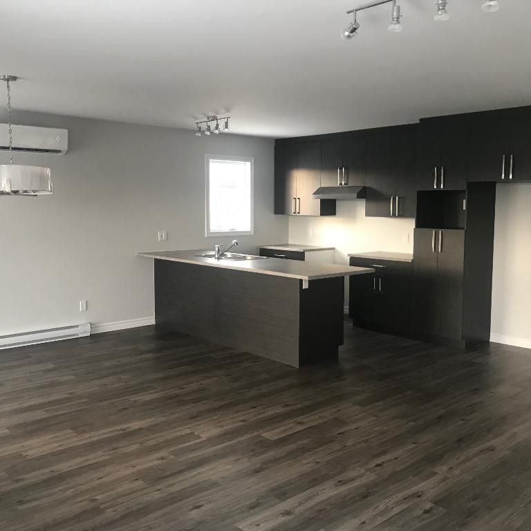 Appartement 4 1/2 à louer (Bromptonville) - Photo 1