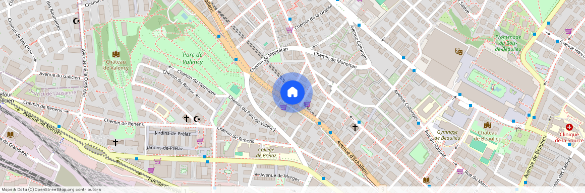 Avenue d'Echallens 72, 1004 LAUSANNE