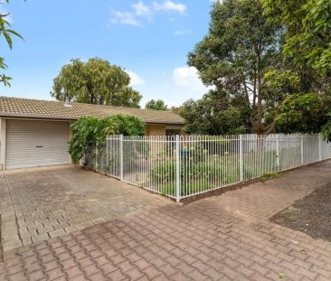 1a Panton Crescent, Somerton Park. - Photo 2