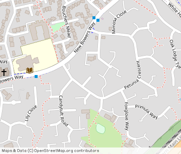 Petunia Crescent, Springfield, Chelmsford, CM1 - Photo 1