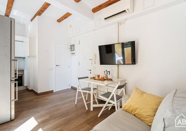 2 Bedroom Apartment in La Barceloneta
